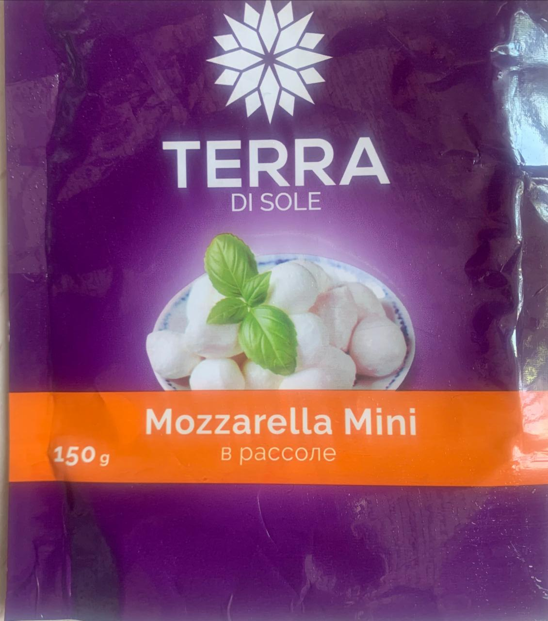 Фото - моцарелла мини в рассоле Terra di sole