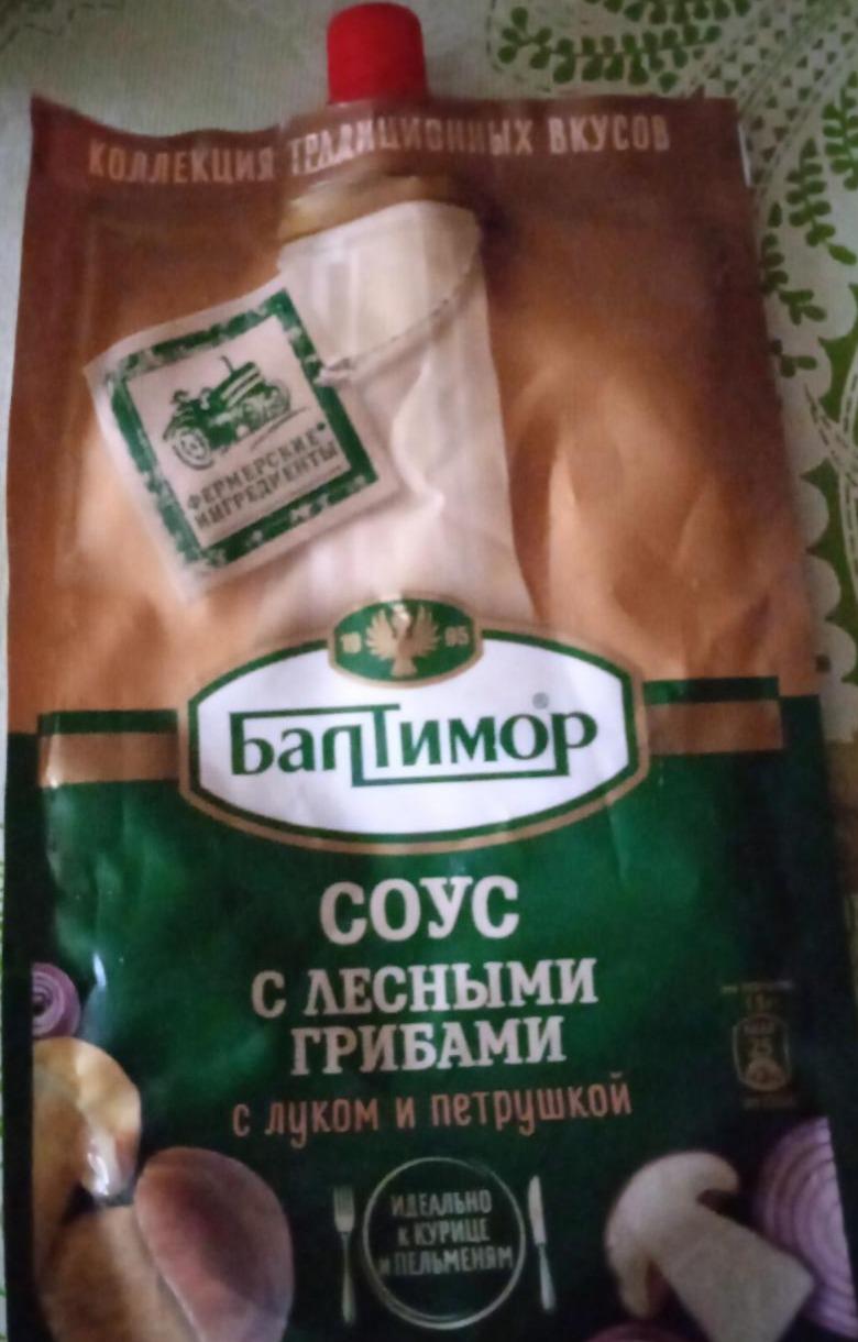 Фото - Соус с лесными грибами с луком и петрушкой Балтимор
