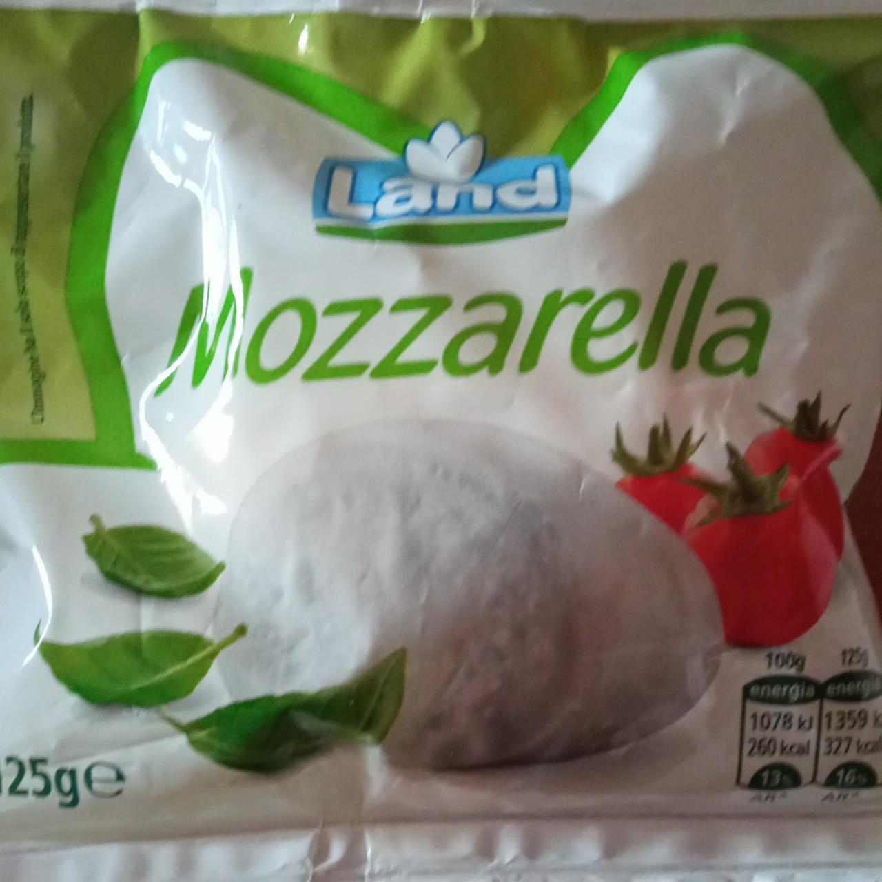 Фото - Mozzarella Land