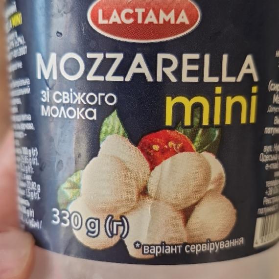Фото - Моцарелла сыр мини Лактама Lactama