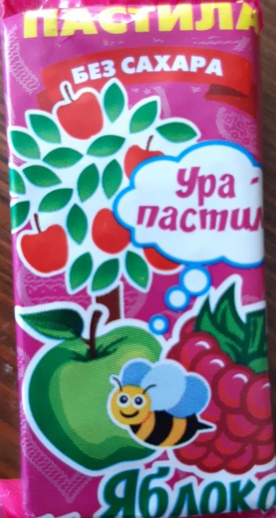 Фото - фруктовая пастила яблоко Ура-пастила